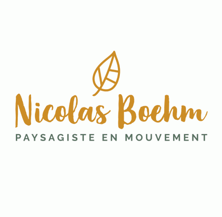 Identité visuelle Nicolas Boehm