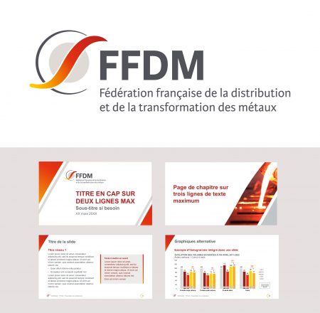 Présentation du nouveau logo de la FFDM